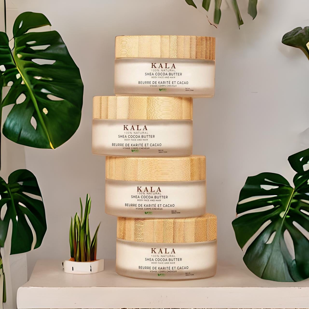 Shea Cocoa Butter - 100ml